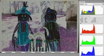 DPP white balanced and the RGB histogram stretched<br> with the