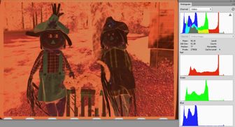 DPP No white balance (Real orange color)