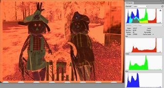 DPP No white balance (Real orange color)<br>and the RGB histogram stretched<br> with the