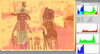 DCRAW -4 -T -o 4 %FILE%