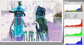 ACR with R, G, and B histograms filled<br> in ACR's 'Point Tone Curve'