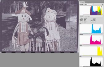 RawDigger exported TIFF with<br>'Autoscale to use full 16 bit range'<br>checked