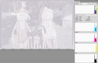 RawDigger exported TIFF with<br>'Autoscale to use full 16 bit range'<br>not checked